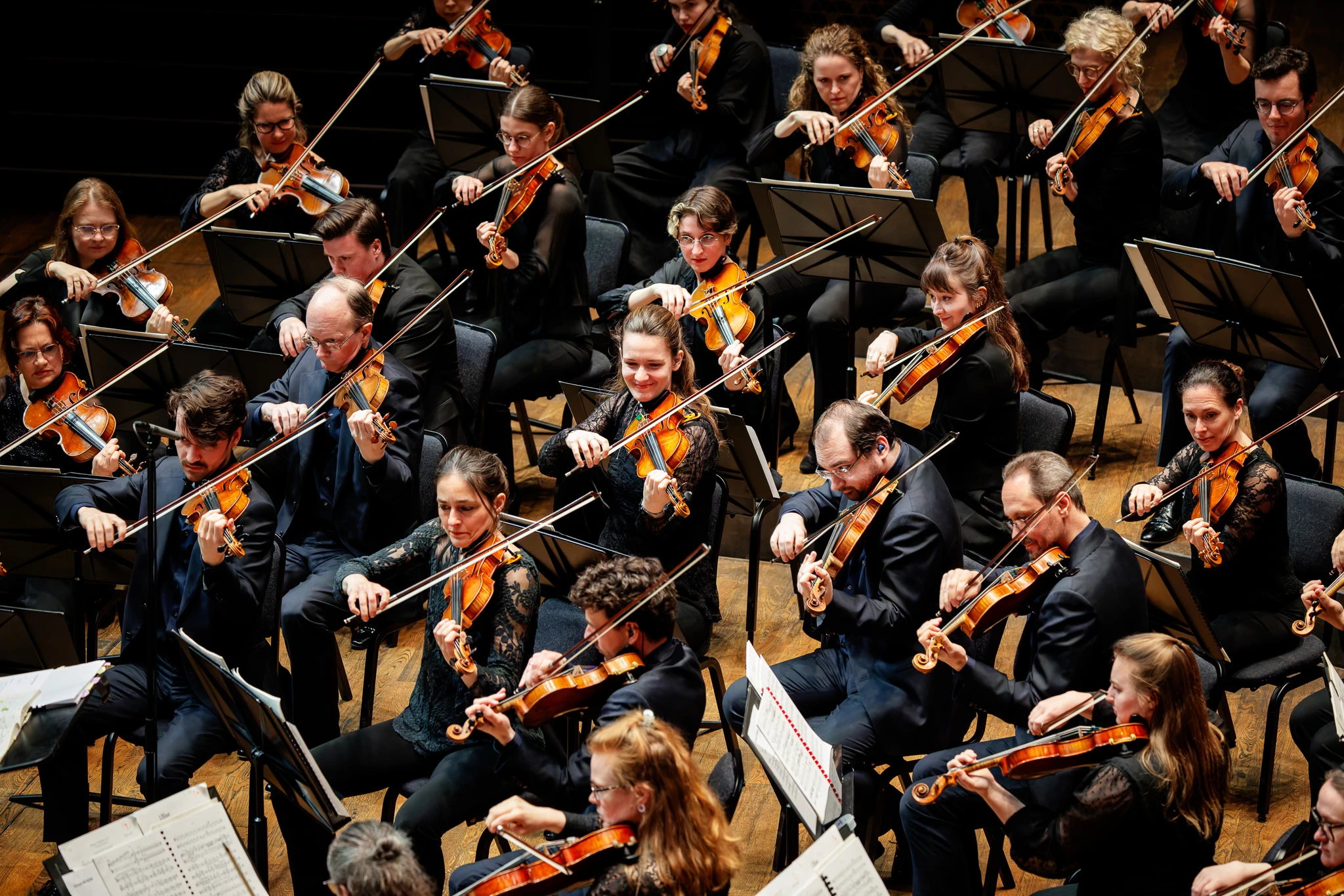 DIDB, 2026 — concertfotografie door Wouter Vellekoop